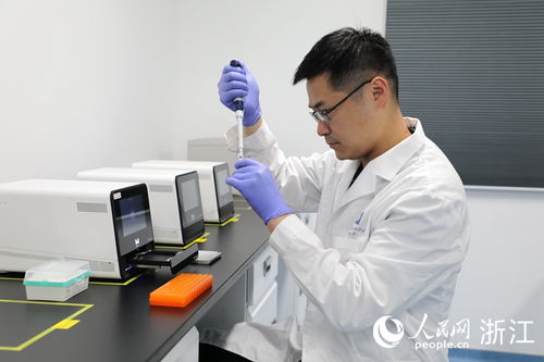 浙江不断“涨粉”的魅力解析与技术支持