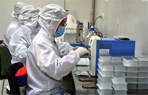 央广网新闻中心 生物科技研发领域的创新与突破