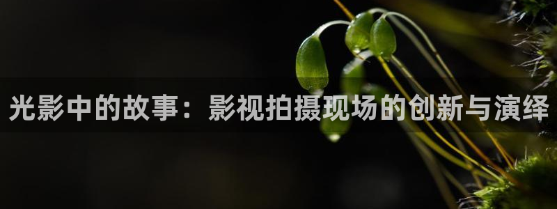 韩国理论电影手机在线看：光影中的故事：影视拍摄现场的创新与演绎