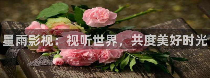 手机在线观看理论电影：星雨影视：视听世界，共度美好时光