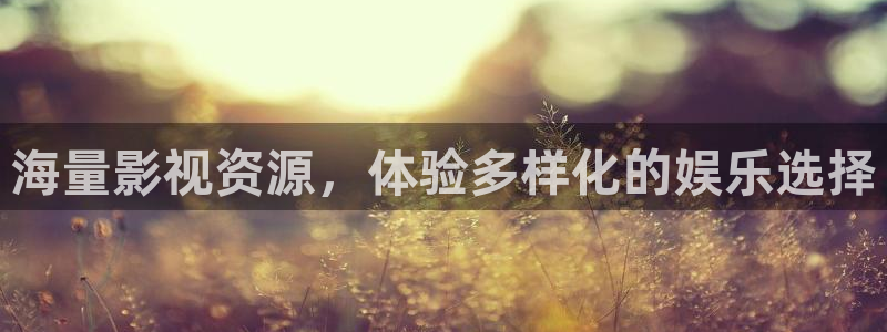 6080新视觉电影理论电视剧在线观看美：海量影视资源，体验多样化的娱乐选择