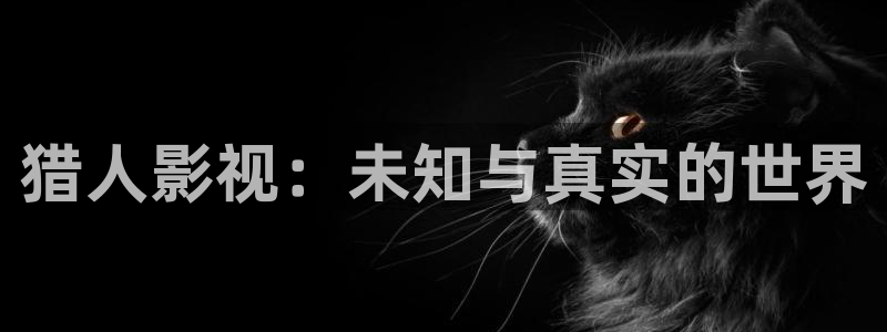 国产理论免费电影：猎人影视：未知与真实的世界