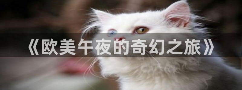 韩国理论电影的：《欧美午夜的奇幻之旅》