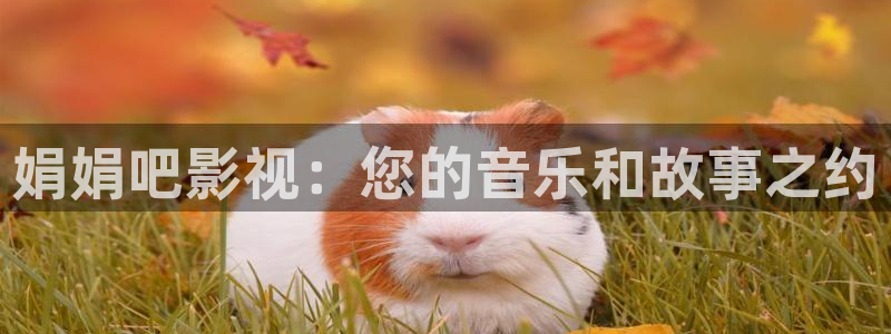 秋霞理论一级a电影：娟娟吧影视：您的音乐和故事之约