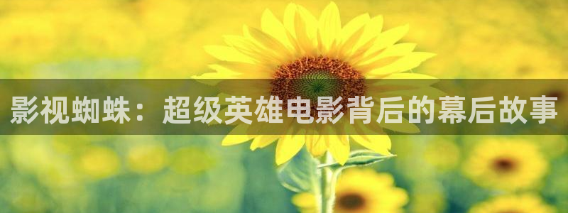 日韩理论电影免费：影视蜘蛛：超级英雄电影背后的幕后故事