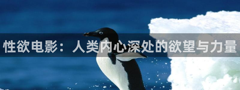 理论与电影：性欲电影：人类内心深处的欲望与力量