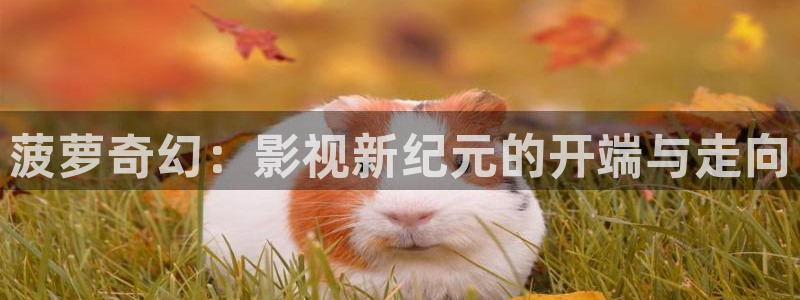 日本理论电影在线免费观看：菠萝奇幻：影视新纪元的开端与走向